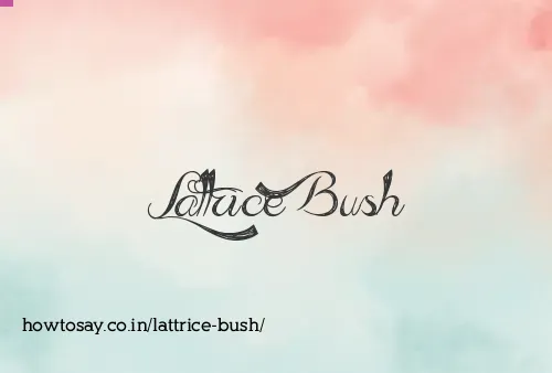 Lattrice Bush