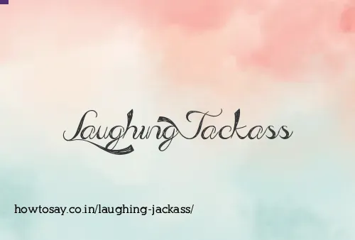 Laughing Jackass