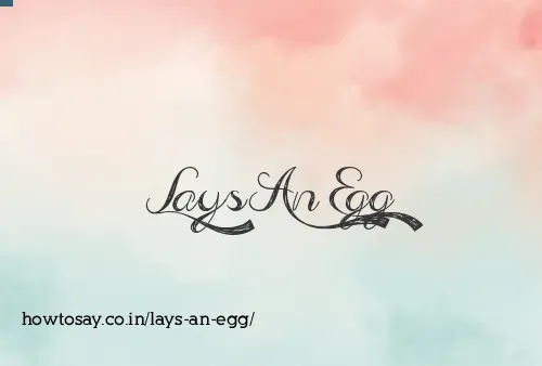 Lays An Egg