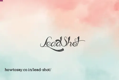 Lead Shot