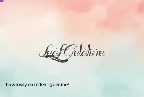 Leaf Gelatine