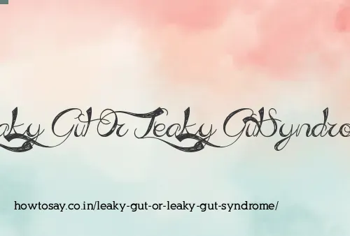 Leaky Gut Or Leaky Gut Syndrome