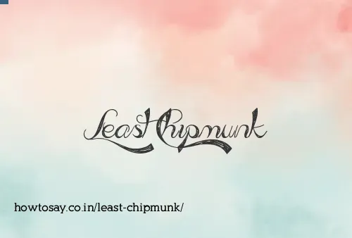 Least Chipmunk