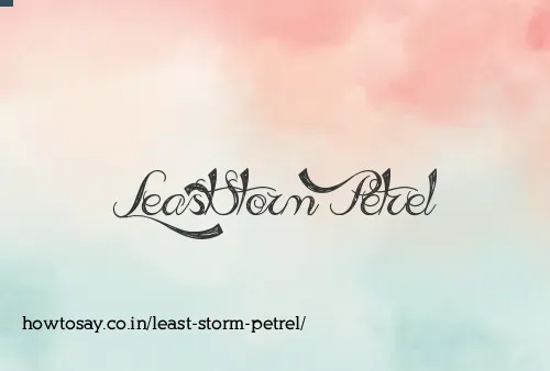 Least Storm Petrel