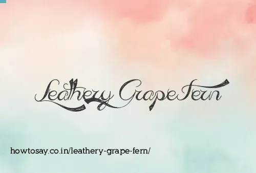 Leathery Grape Fern