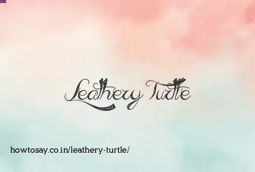 Leathery Turtle
