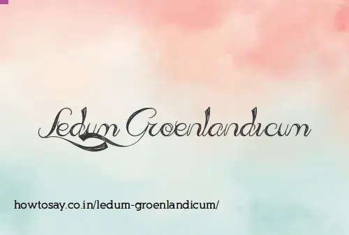 Ledum Groenlandicum