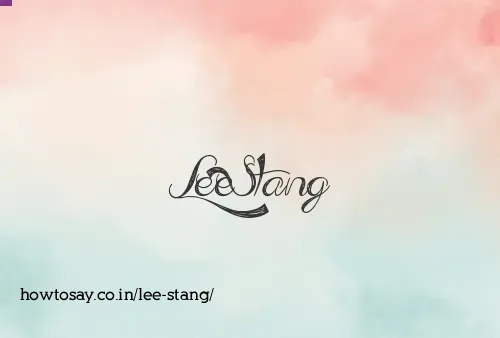 Lee Stang