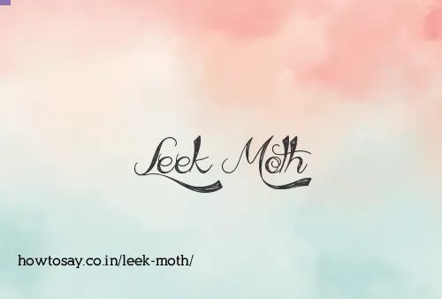Leek Moth