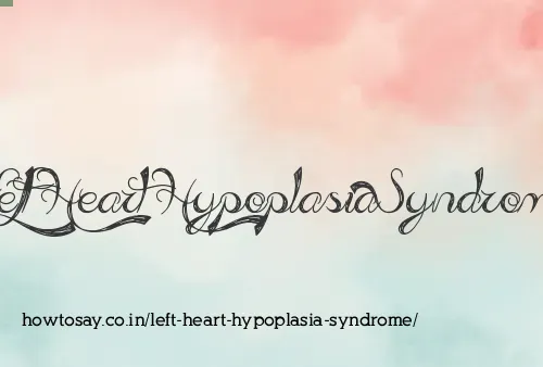 Left Heart Hypoplasia Syndrome