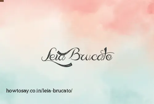 Leia Brucato