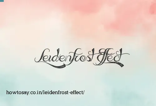 Leidenfrost Effect