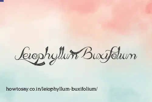 Leiophyllum Buxifolium