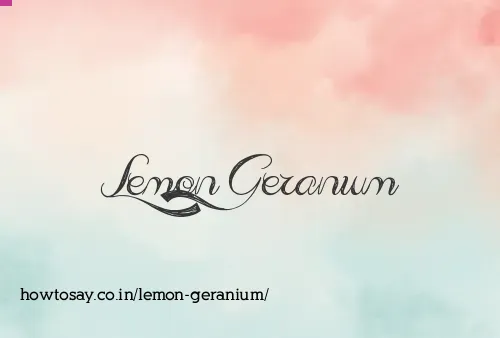 Lemon Geranium