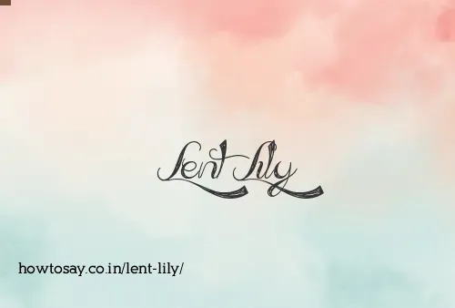 Lent Lily