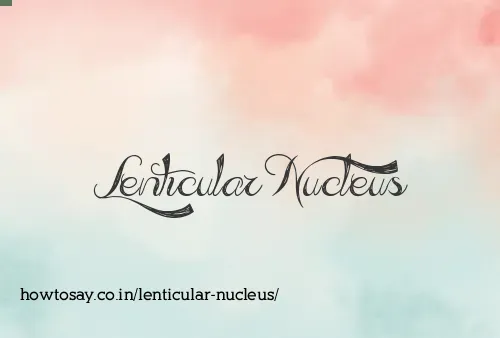 Lenticular Nucleus