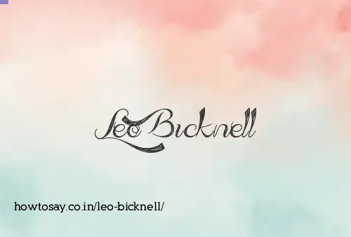 Leo Bicknell