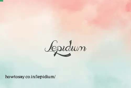Lepidium