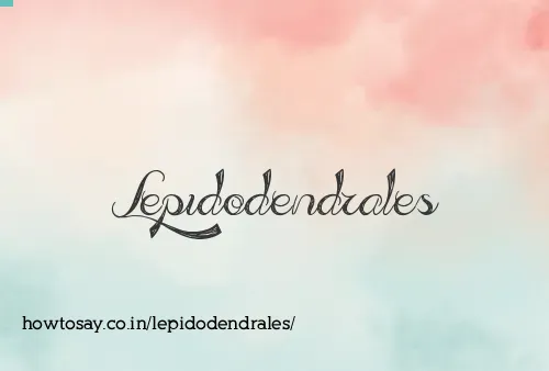 Lepidodendrales
