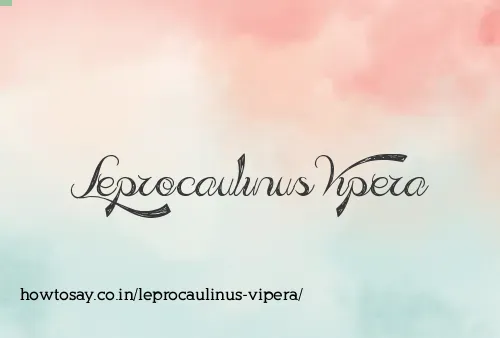 Leprocaulinus Vipera