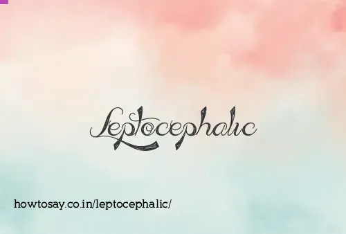 Leptocephalic