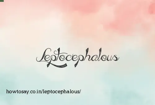Leptocephalous