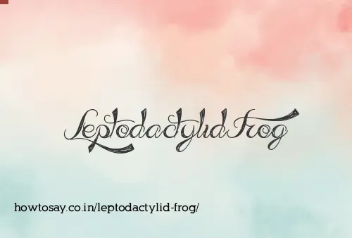 Leptodactylid Frog