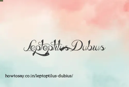 Leptoptilus Dubius