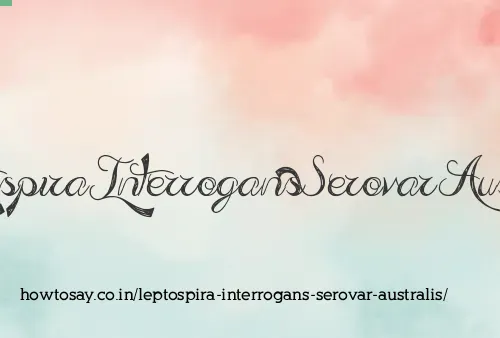 Leptospira Interrogans Serovar Australis