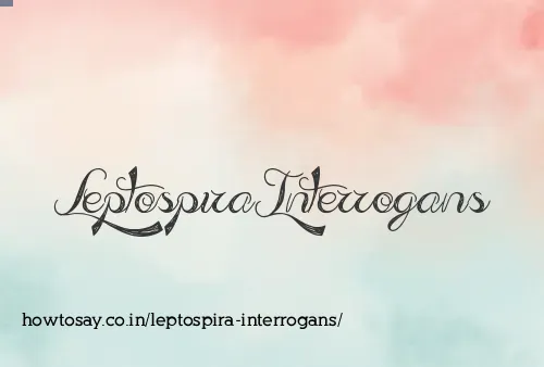 Leptospira Interrogans