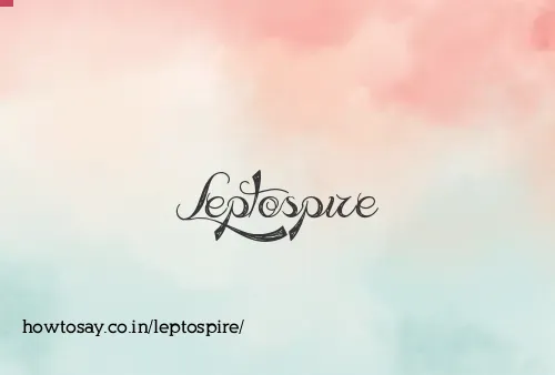 Leptospire