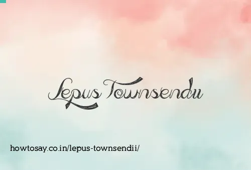 Lepus Townsendii
