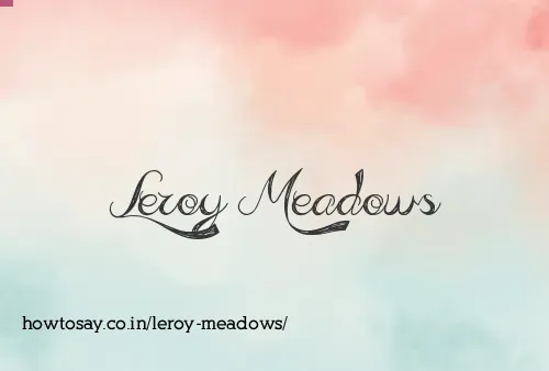 Leroy Meadows