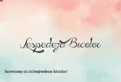 Lespedeza Bicolor