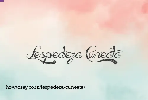 Lespedeza Cuneata