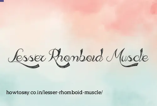 Lesser Rhomboid Muscle