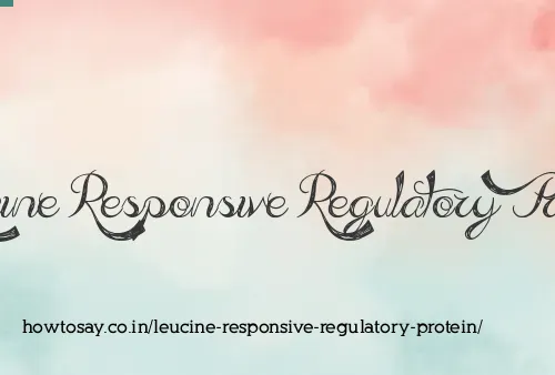 Leucine Responsive Regulatory Protein
