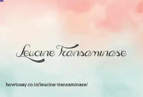Leucine Transaminase