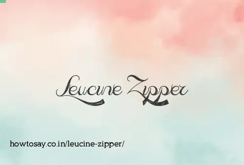 Leucine Zipper