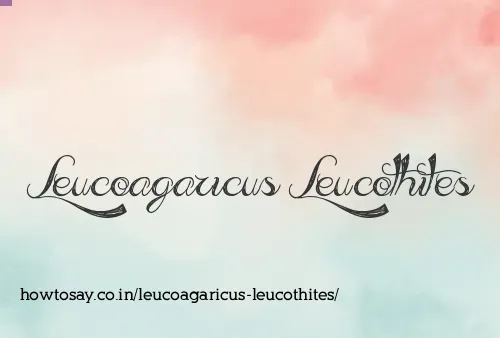 Leucoagaricus Leucothites