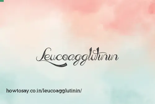 Leucoagglutinin