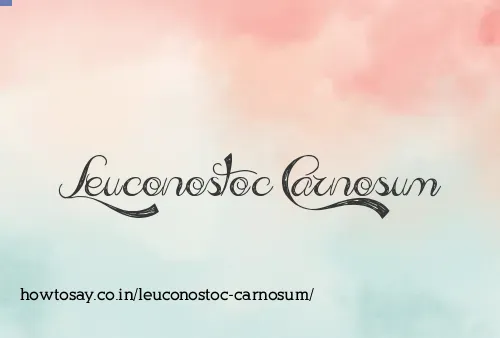 Leuconostoc Carnosum