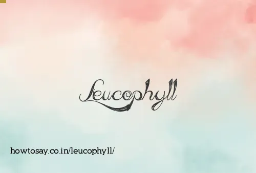Leucophyll