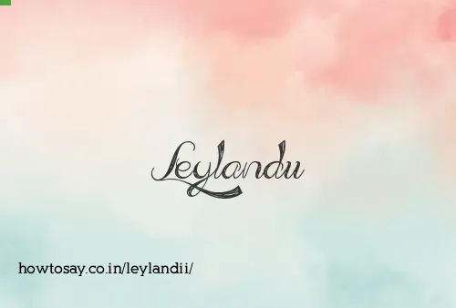 Leylandii