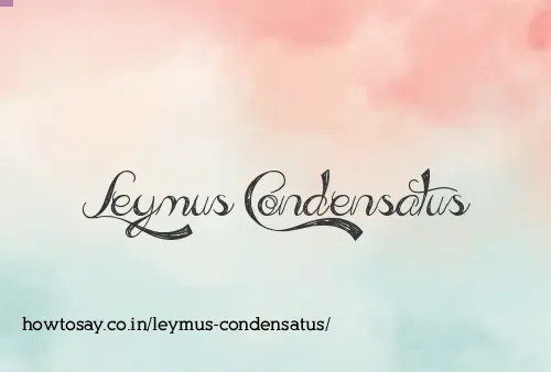 Leymus Condensatus