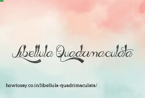 Libellula Quadrimaculata