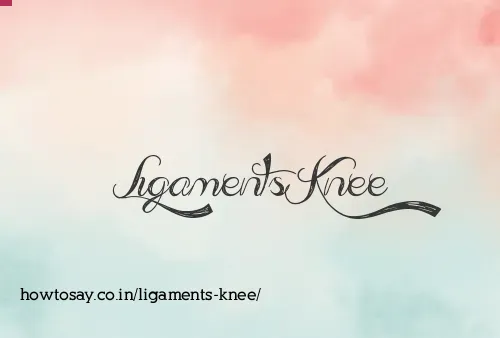 Ligaments Knee
