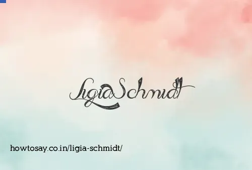 Ligia Schmidt