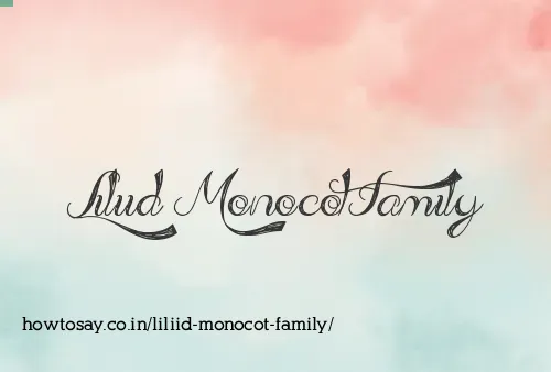 Liliid Monocot Family