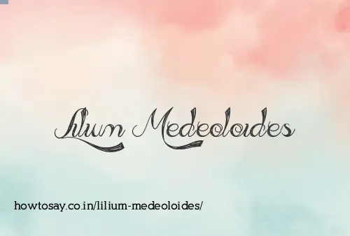 Lilium Medeoloides